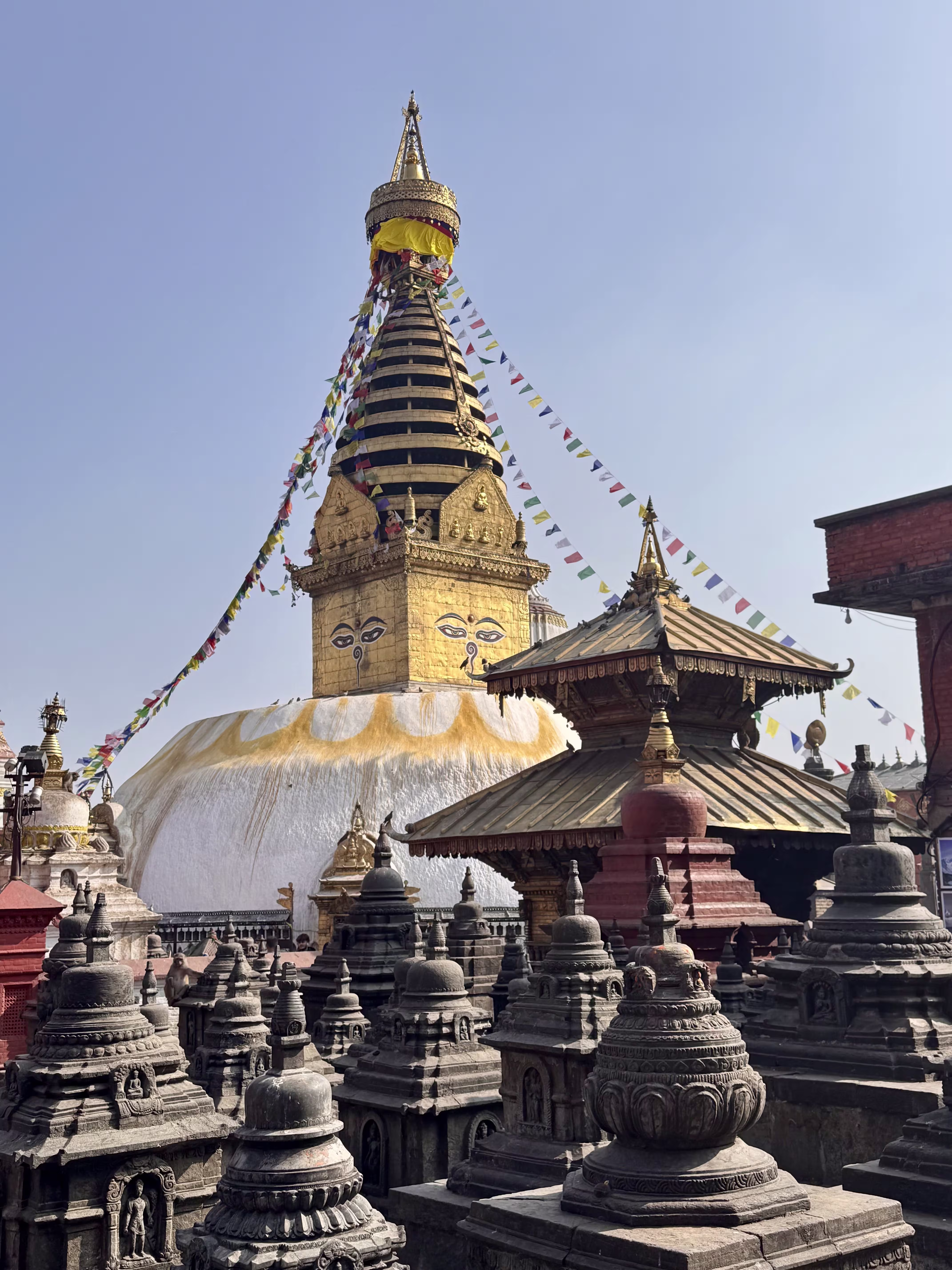 Monkey Temple